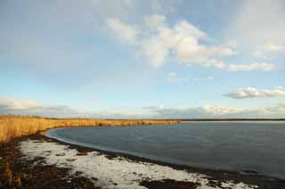 photo,material,free,landscape,picture,stock photo,Creative Commons,Lake Uto Ney, Damp ground, Ice, Freezing, blue sky