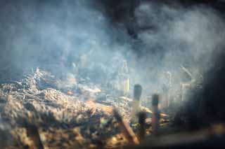 fotografia, material, livra, ajardine, imagine, proveja fotografia,Senso-ji Templo incenso proprietrio, Budismo, Templo de Senso-ji, Asakusa, Uma vara de incenso