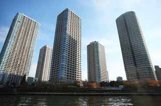 fotografia, materiale, libero il panorama, dipinga, fotografia di scorta,Gruppo di appartamento a molti piani di Tsukuda, edificio a molti piani, Discesa di Fiume di Sumida, casa, Un appartamento