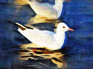 illust, matire, libre, paysage, image, le tableau, crayon de la couleur, colorie, en tirant,L'oiseau de l'hutre qui secoue pour une vague, mouette, , , Amabilit