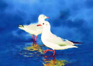 illust, matire, libre, paysage, image, le tableau, crayon de la couleur, colorie, en tirant,Un oiseau de l'hutre, mouette, , , Amabilit