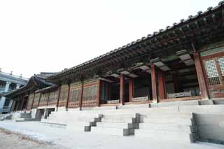 foto,tela,gratis,paisaje,fotografa,idea,Santuario de Kotobuki de virtud, Edificio de palacio, Reja, Shoji, Arquitectura de tradicin