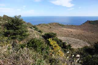 fotografia, materiale, libero il panorama, dipinga, fotografia di scorta,Il cratere dello Shiroyama Hiji la vetta, ilchulbong di seongsan, Cliff, isola vulcanica, macchia di bellezza