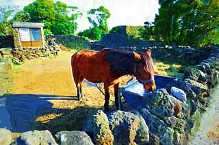 illust, matire, libre, paysage, image, le tableau, crayon de la couleur, colorie, en tirant,Ville de chteau village folklorique, Vie, course, cheval, Culture