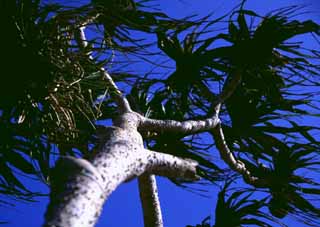 fotografia, materiale, libero il panorama, dipinga, fotografia di scorta,Manzamo, cielo blu, , , 