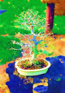 illustration,material,free,landscape,picture,painting,color pencil,crayon,drawing,A Korean bonsai, bonsai, garden plant, Gardening, Art