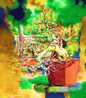 illust, , , , , ,  ,  , ., bonsai, bonsai,  , Gardening, 