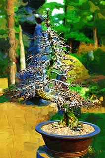 ,,, ,,,   , ,.  

bonsai ., bonsai.,  ., ., .