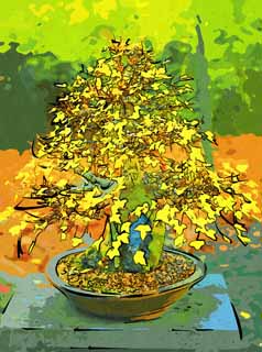 illust, matire, libre, paysage, image, le tableau, crayon de la couleur, colorie, en tirant,Un bonsai coren, bonsai, plante de jardin, Jardiner, Art