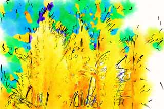 illustration,material,free,landscape,picture,painting,color pencil,crayon,drawing,Plumes of pampas grass, pampas, Korea, , 