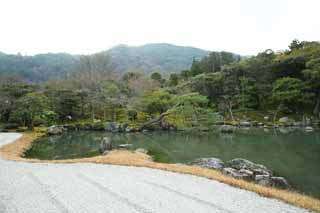 photo, la matire, libre, amnage, dcrivez, photo de la rserve,Tenryu-ji jardinent, Chaitya, tang, patrimoine de l'humanit, Sagano