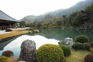 photo, la matire, libre, amnage, dcrivez, photo de la rserve,Tenryu-ji jardinent, Chaitya, tang, patrimoine de l'humanit, Sagano