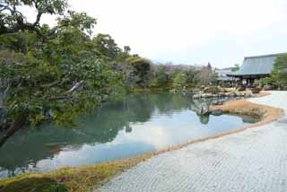 photo, la matire, libre, amnage, dcrivez, photo de la rserve,Tenryu-ji jardinent, Chaitya, tang, patrimoine de l'humanit, Sagano