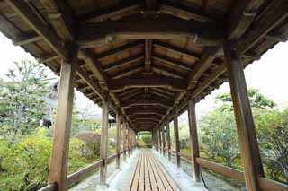 fotografia, material, livra, ajardine, imagine, proveja fotografia,Tenryu-ji telhou passagem edifcios de ligao, Chaitya, se aloje com um cho de madeira, herana mundial, Sagano