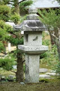 photo, la matire, libre, amnage, dcrivez, photo de la rserve,Tenryu-ji jardinent, Chaitya, La lune, patrimoine de l'humanit, Sagano