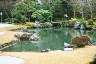 photo, la matire, libre, amnage, dcrivez, photo de la rserve,Tenryu-ji jardinent, Chaitya, tang, patrimoine de l'humanit, Sagano