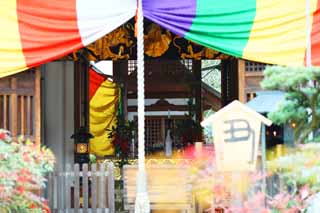 photo,material,free,landscape,picture,stock photo,Creative Commons,Tenryu-ji, Chaitya, Sacred sake, world heritage, Sagano