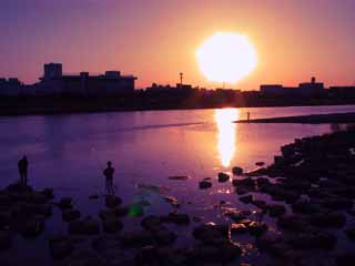 Foto, materieel, vrij, landschap, schilderstuk, bevoorraden foto,Vatting zon van de Tama River, Zonsondergang, Rivier, , 