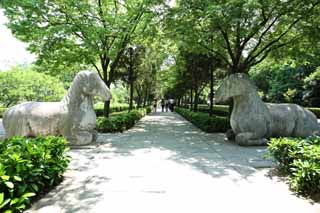 foto,tela,gratis,paisaje,fotografa,idea,Un Ming Xiaoling Mausoleum de piedra camino de estatua, Se queda, Estatua de piedra, Un enfoque para un santuario, Herencia de mundo