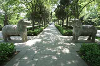 Foto, materieel, vrij, landschap, schilderstuk, bevoorraden foto,Een Ming Xiaoling Mausoleum stenig standbeeld straat, Verblijft, Stenig standbeeld, Een benadering van een heiligdom, Stenig dierlijk