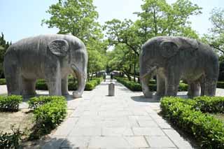 photo, la matire, libre, amnage, dcrivez, photo de la rserve,Un Ming Xiaoling Mausole route de la statue de pierre, Restes, statue de pierre, Une approche  un temple, patrimoine de l'humanit