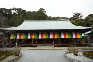 photo,material,free,landscape,picture,stock photo,Creative Commons,The House of Buddha and Amitabha main hall of a Buddhist temple, Chaitya, Purple dragon, stone stairway, Imperial envoy prayer