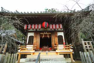 Foto, materiell, befreit, Landschaft, Bild, hat Foto auf Lager,Neun Haus von Buddha und Amitabha Drachen Benzai Heiligtmer von Gott, Blume leitende-Fenster, rote Papierlaterne, steinigen Sie Treppe, Neun Drachen Sarasvati Chinese Phnixe