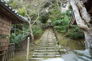 photo, la matire, libre, amnage, dcrivez, photo de la rserve,Maison de Bouddha et Amitabha escalier de pierre, Mousse, Entasser-pierres, escalier de pierre, Bouddhisme