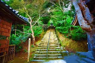 illust, materiell, befreit, Landschaft, Bild, Gemlde, Farbbleistift, Wachsmalstift, Zeichnung,,Haus von Buddha und Amitabha steinigt Treppe, Moos, Drngen-Steine, steinigen Sie Treppe, Buddhismus