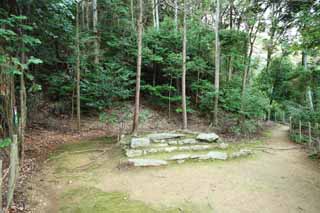 foto,tela,gratis,paisaje,fotografa,idea,Casa de Buddha y enramada de ducha de otoo de Amitabha trazan, Moss, Los fundamentos, Las ruinas, Naipe japons tradicional