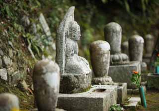 Foto, materiell, befreit, Landschaft, Bild, hat Foto auf Lager,Haus von Buddha und Amitabha-Grabstein, Moos, steinigen Sie Statue, Grabstein, Buddhismus