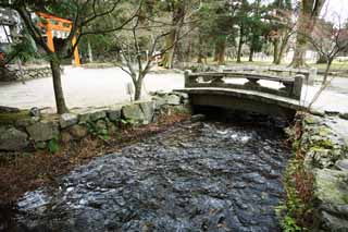 Foto, materiell, befreit, Landschaft, Bild, hat Foto auf Lager,Ein Bach von Kamigamo Shrine Nara, traditionelles Japanisch, das Karte spielt, 31-Silbe japanisches Gedicht, Ein Ereignis, Der Kaiser