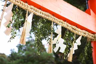 Foto, materiell, befreit, Landschaft, Bild, hat Foto auf Lager,Zwei Kamigamo Shrine toriis, torii, Schintoistische Strohgirlande, Verhtung von Bsem, Der Kaiser