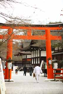 photo, la matire, libre, amnage, dcrivez, photo de la rserve,Torii de la compagnie de Shimogamo Temple, Je suis peint en rouge, lanterne de jardin, Dieu, patrimoine de l'humanit