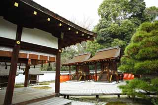 photo,material,free,landscape,picture,stock photo,Creative Commons,Shimogamo Shrine company Mitsui Corporation, An offertory box, wooden building, red pair of stone guardian dogs, Metal fittings of the money