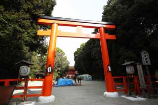 Foto, materiell, befreit, Landschaft, Bild, hat Foto auf Lager,Shimogamo Shrine Gesellschaft torii, Schintoismus, Verhtung von Bsem, Bezirke, Schintoistisches Schreintor