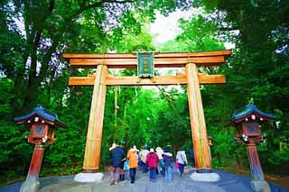 illustration,material,free,landscape,picture,painting,color pencil,crayon,drawing,A torii of two Omiwa shrines, Shinto, Prevention against evil, Precincts, Shinto shrine gate