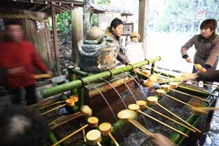 photo,material,free,landscape,picture,stock photo,Creative Commons,Omiwa shrine small pavilion with water and ladles, I cleanse it, Water, ladle, Worship