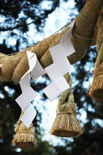 photo,material,free,landscape,picture,stock photo,Creative Commons,Omiwa shrine Shinto straw festoon, Shinto, Shinto straw festoon, Precincts, paper appendix