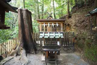 photo,material,free,landscape,picture,stock photo,Creative Commons,Omiwa shrine dedicated treasure Shinto shrine, Shinto straw festoon, Prevention against evil, Precincts, Shinto