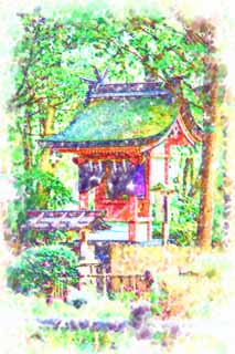 illust, matire, libre, paysage, image, le tableau, crayon de la couleur, colorie, en tirant,Temple Omiwa, Shintosme, Femme de zen-prtre Pond principal, Circonscriptions administratives, appendice en papier