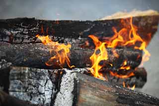 photo,material,free,landscape,picture,stock photo,Creative Commons,Omiwa shrine saint fire, Shinto, Fire, Precincts, flame