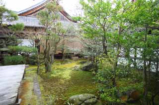 fotografia, materiale, libero il panorama, dipinga, fotografia di scorta,Giardino di Tempio di Ninna-ji, giardino, Muschio, La casa del vecchio aristocratico Palazzo Imperiale, La famiglia imperiale