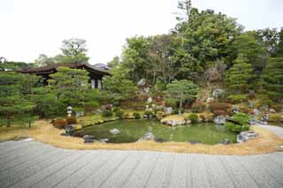 fotografia, materiale, libero il panorama, dipinga, fotografia di scorta,Giardino di nord di Tempio di Ninna-ji, sabbi sbarra, Io sono Giapponese-stile, stagno, stile di giardino giapponese con un stagno nel giardino centrista