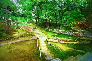 illust, matire, libre, paysage, image, le tableau, crayon de la couleur, colorie, en tirant,me de Temple Ninna-ji Akira, Mousse, escalier de pierre, Le trottoir, Promenade