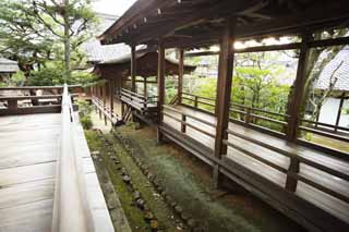 fotografia, materiale, libero il panorama, dipinga, fotografia di scorta,Anima di Tempio di Ninna-ji Akira, passaggio, edificio di legno, ringhiera, Adorazione