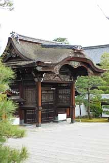 photo, la matire, libre, amnage, dcrivez, photo de la rserve,Porte de Temple Ninna-ji pour les messagers Impriaux, Openwork, Je suis luxueux, btiment en bois, Herbe de la saveur forte