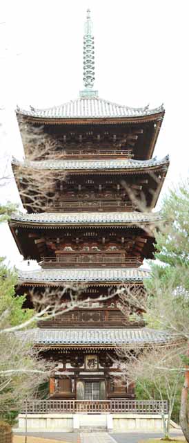 fotografia, material, livra, ajardine, imagine, proveja fotografia,Templo de Ninna-ji cinco pagode de Storeyed, azulejo de cume-fim, Carter Snscritos, Chaitya, herana mundial