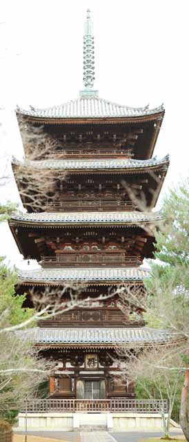 Foto, materieel, vrij, landschap, schilderstuk, bevoorraden foto,Ninna-ji Temple Five Storeyed Pagoda, Kam-maken tichel af, Sanskriet karakters, Chaitya, Wereld heritage