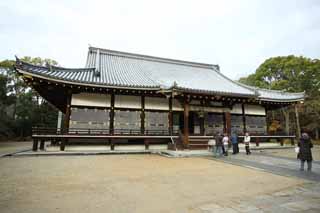 fotografia, materiale, libero il panorama, dipinga, fotografia di scorta,Tempio di Ninna-ji tempio interno, La Corte Imperiale lo stile, struttura di stanza principale, Chaitya, eredit di mondo